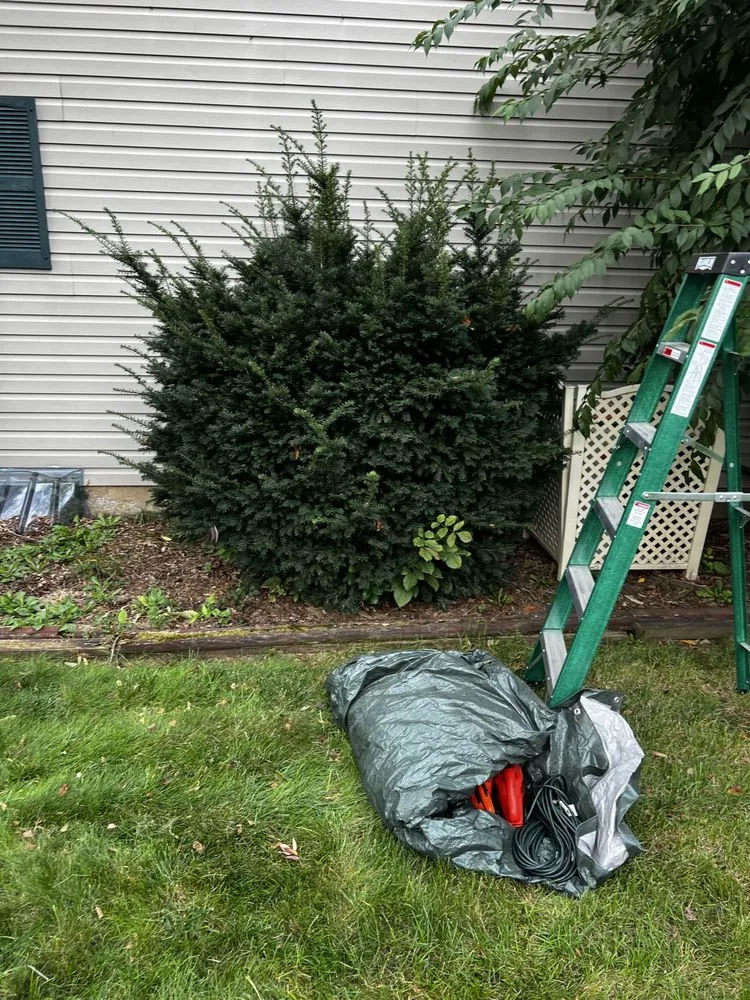 Expert lawn care service in Fruit Crove, FL - SDM Sealcoating