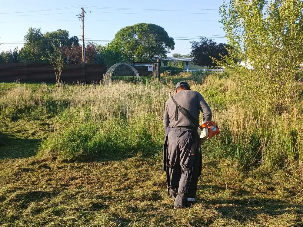 Top-rated lawn care service for year-round maintenance across Montrose, CO - SDMS Integral Services