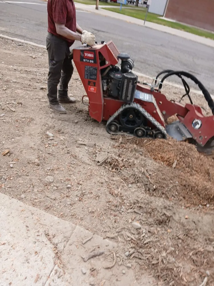 Custom landscape design in Montrose, CO by SDMS Integral Services