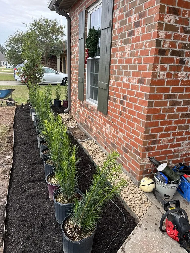 Local residential landscaping for residential properties across Lafayette, LA - SDs Landscape & Services