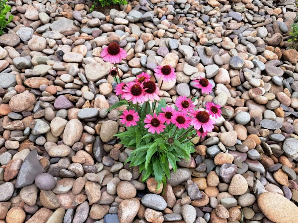 Local residential landscaping in Bernville, PA - SDS Landscaping