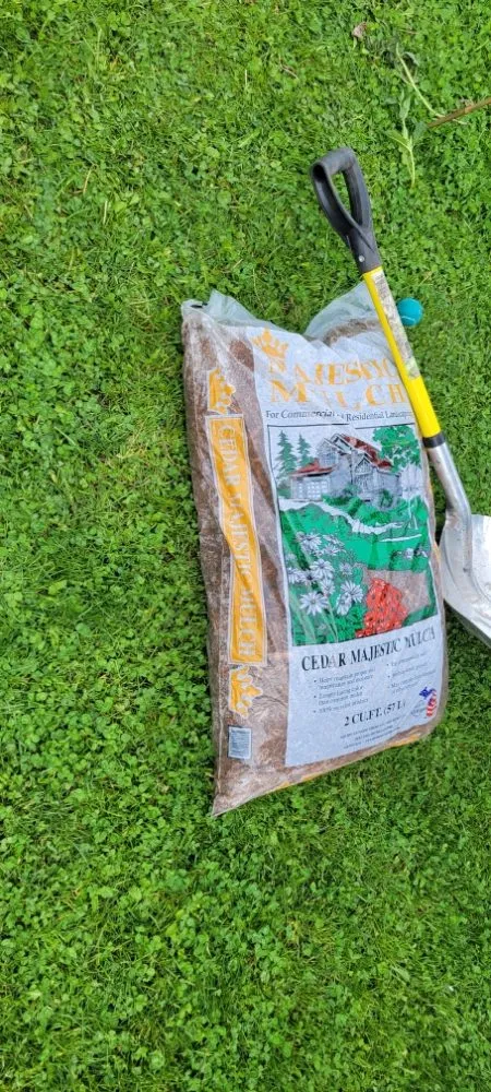 Professional lawn mowing service near you in Manistee, MI by SE GreenGate