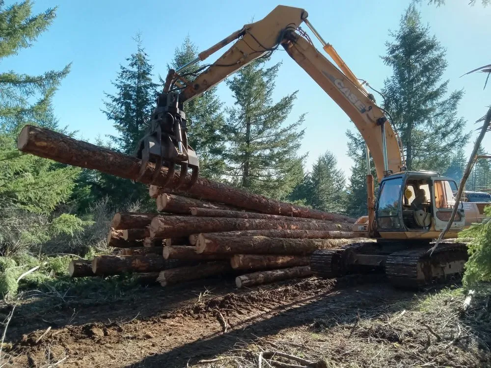 Reliable garden landscaping for year-round maintenance across Sublimity, OR - S&E Land Management