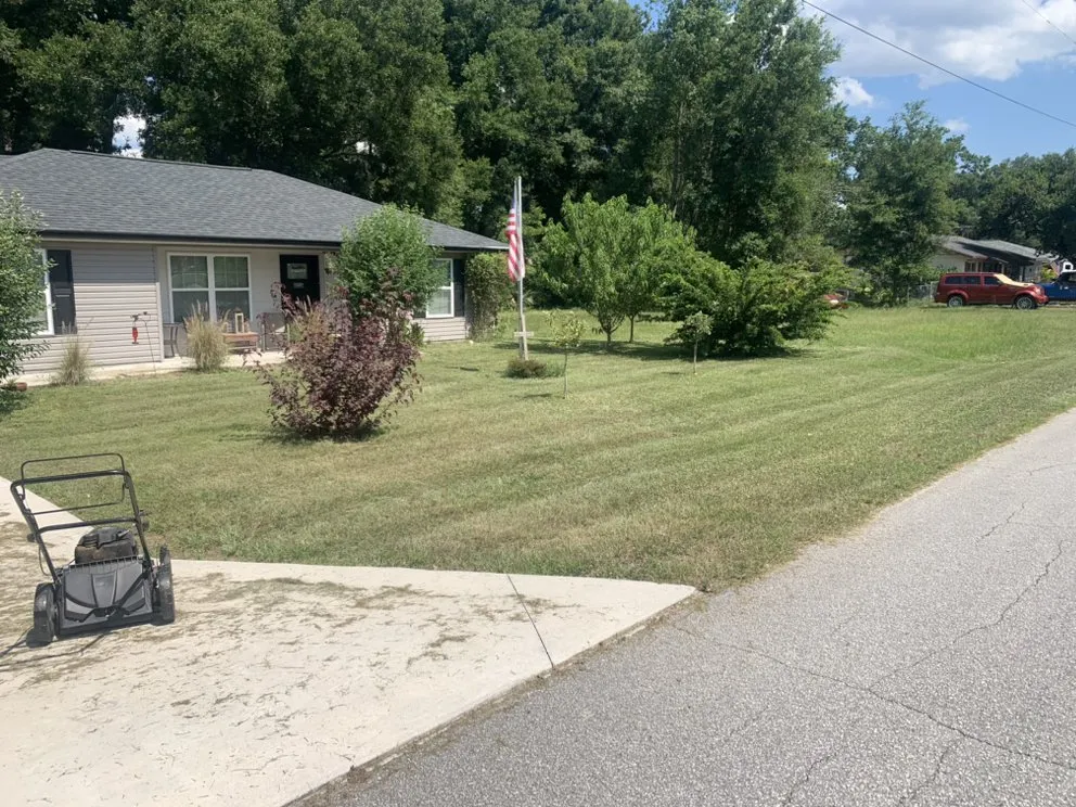 Custom yard cleanup service experts serving Fruitland Park, FL - SE Landscaping