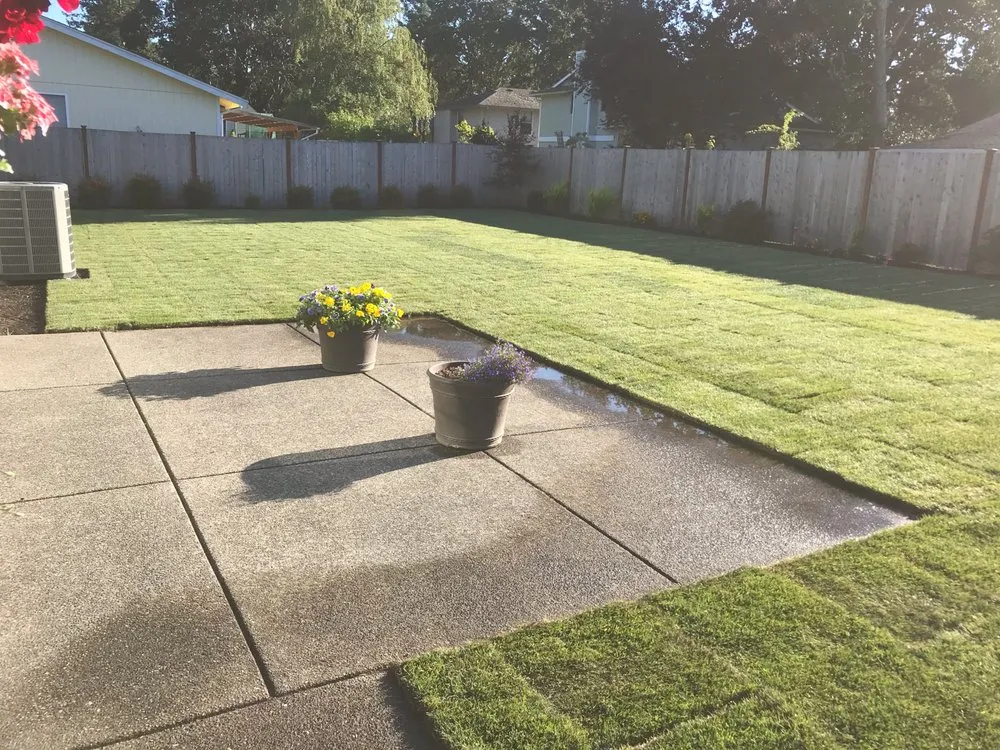Affordable lawn care service experts serving Lakewood, WA - S&E Landscaping Services