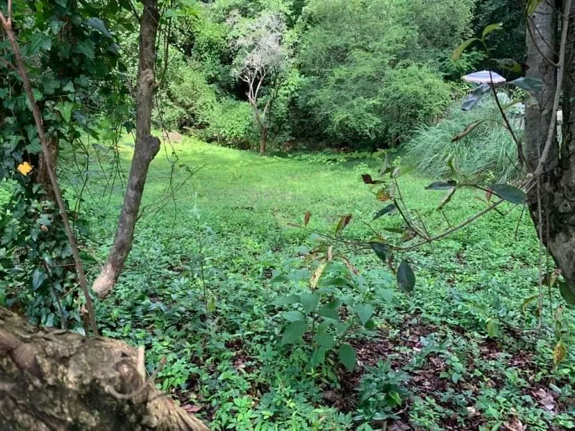 Custom residential landscaping in Gaston, SC by S&E Lawn And Landscape