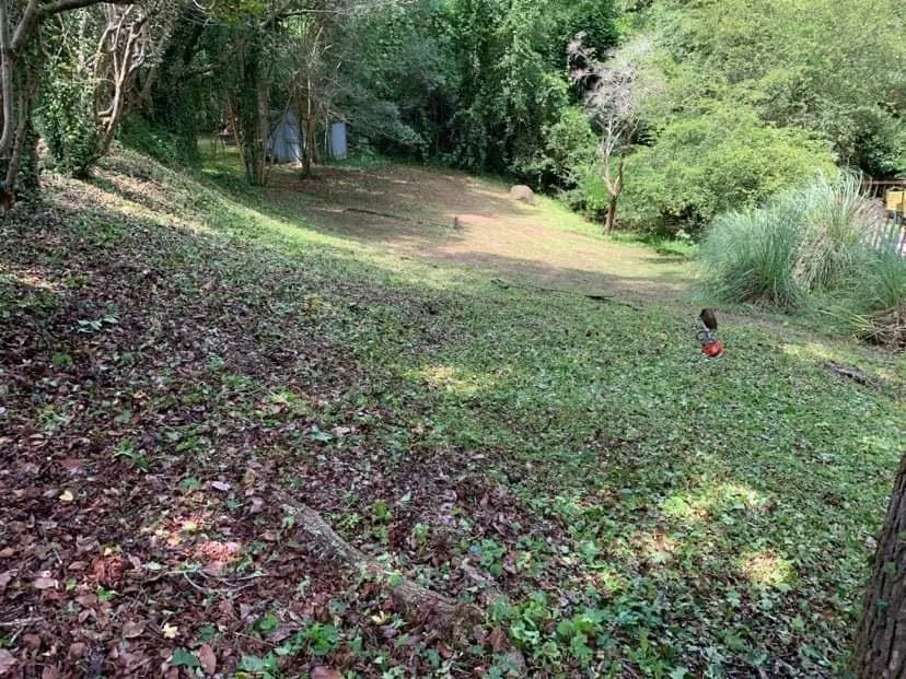 Trusted yard cleanup service for year-round maintenance across Gaston, SC - S&E Lawn And Landscape