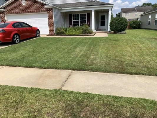 S&E Lawn And  Landscape