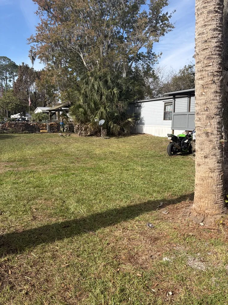 Custom residential landscaping experts serving Astor, FL - S&E lawn Maintenance