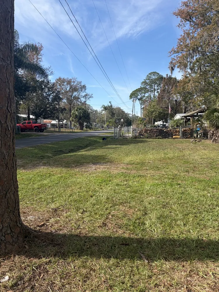 Professional yard maintenance in Astor, FL by S&E lawn Maintenance