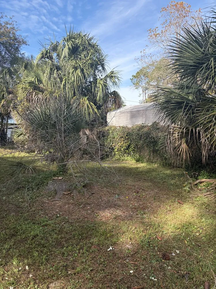 Custom lawn care service experts serving Astor, FL - S&E lawn Maintenance