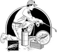 Reliable yard cleanup service for beautiful yards across Nine Mile Falls, WA - S&E Pest Control and Lawn Care