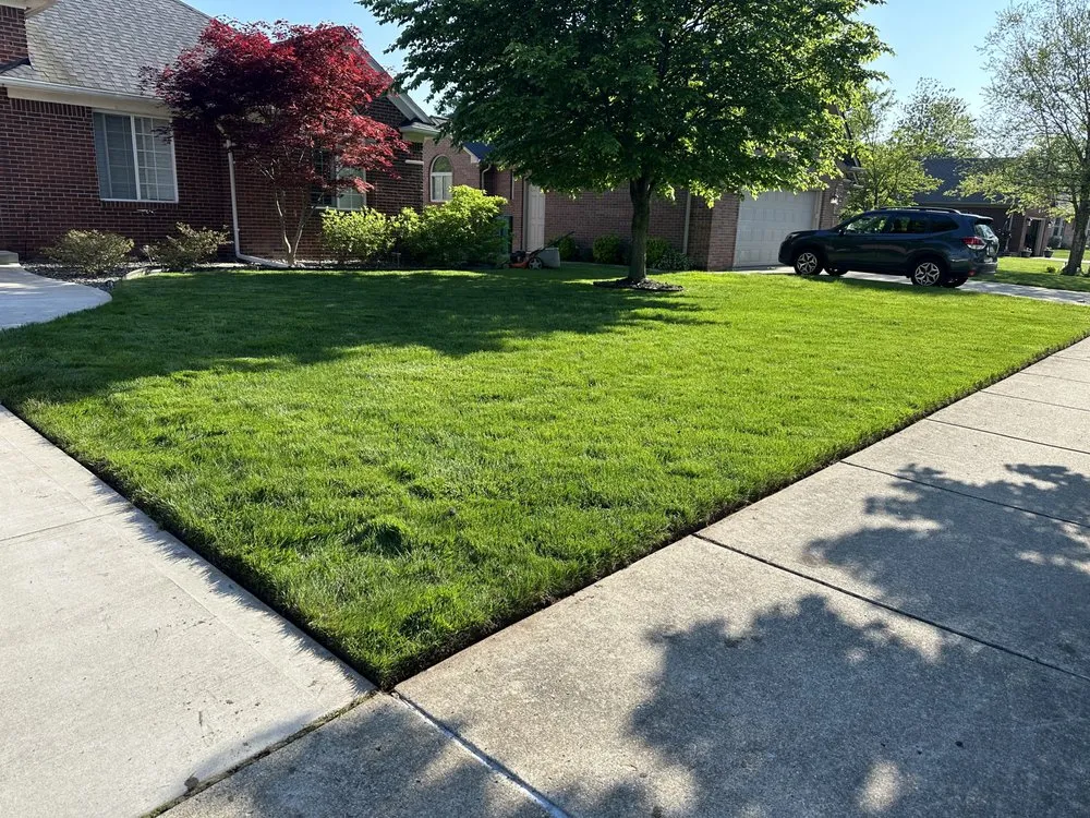 Top-rated yard cleanup service in New Baltimore, MI by SE Property Services