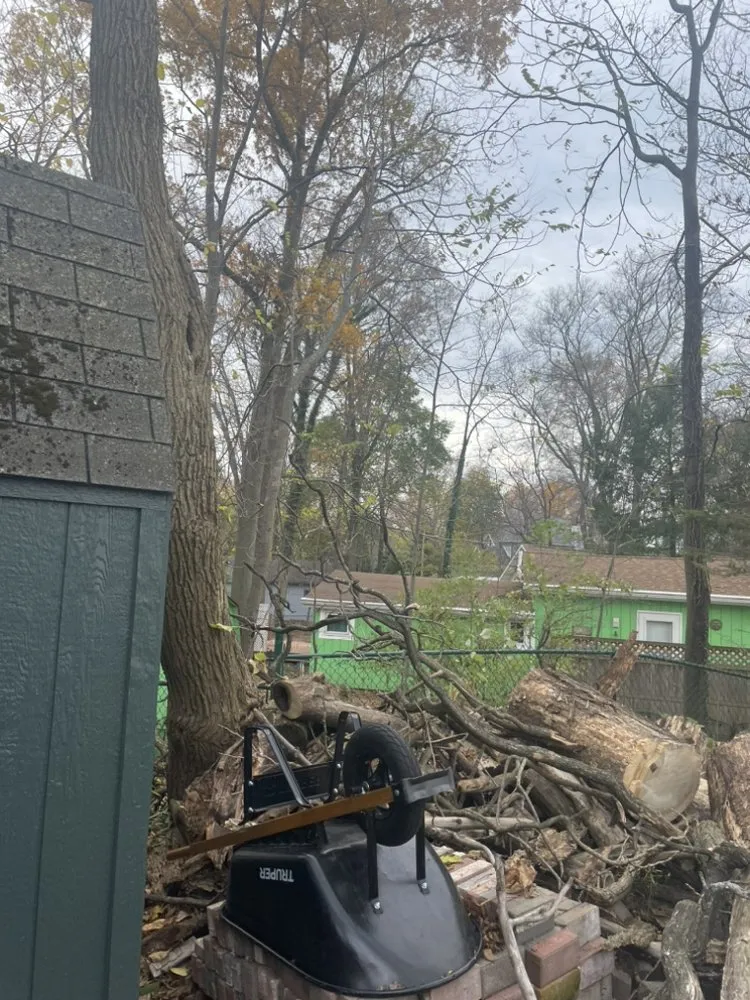 Top-rated landscape installation in Benton Harbor, MI by S&E Tree Service