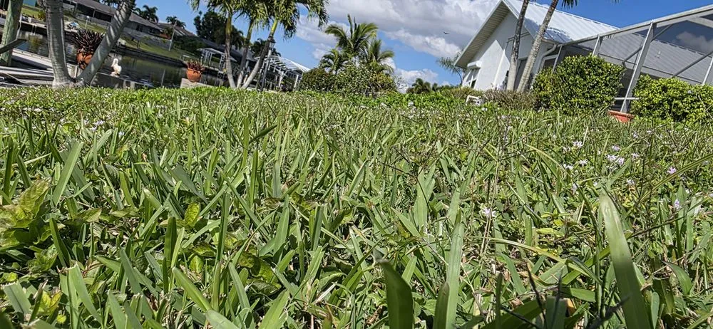 Reliable landscape design experts serving Cape Coral, FL - Sea Breeze