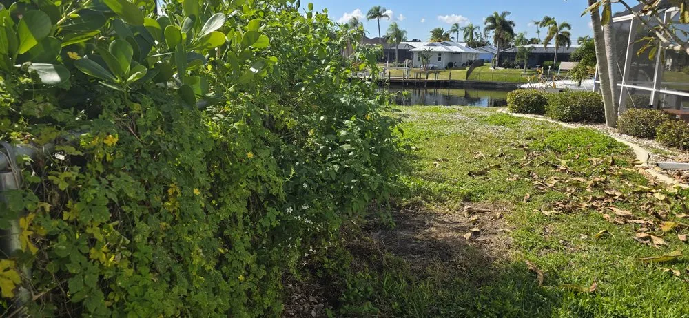 Top-rated lawn mowing service experts serving Cape Coral, FL - Sea Breeze