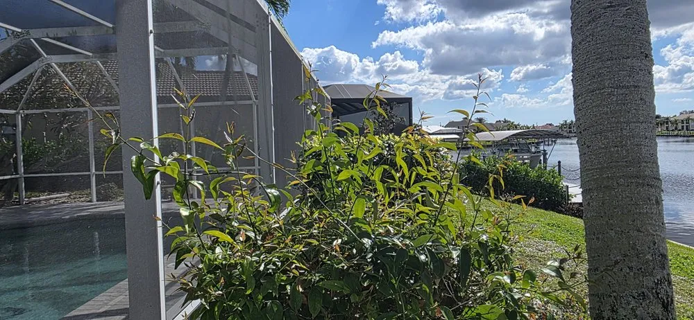 Affordable landscape design for residential properties across Cape Coral, FL - Sea Breeze