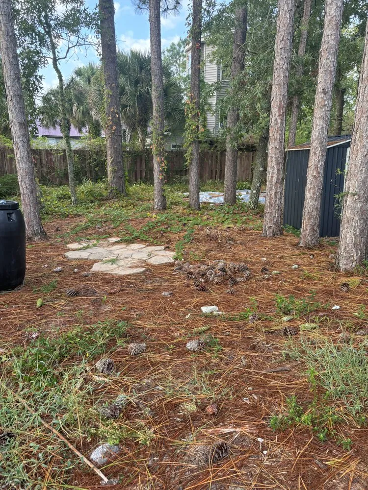 Local yard maintenance for beautiful yards across Wilmington, NC - Sea Foam Greens