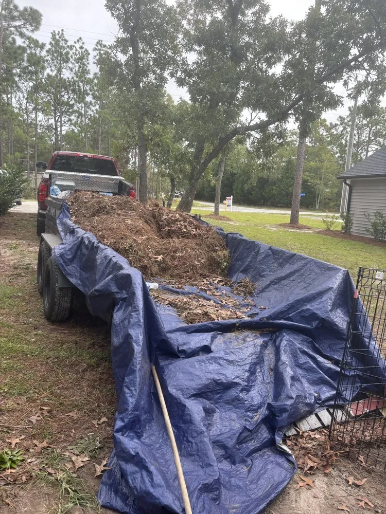 Reliable garden landscaping for residential properties across Wilmington, NC - Sea Foam Greens