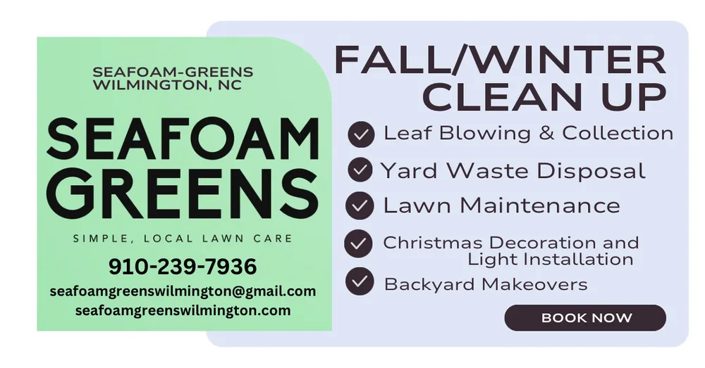 Local lawn care service for outdoor upgrades in Wilmington, NC by Sea Foam Greens