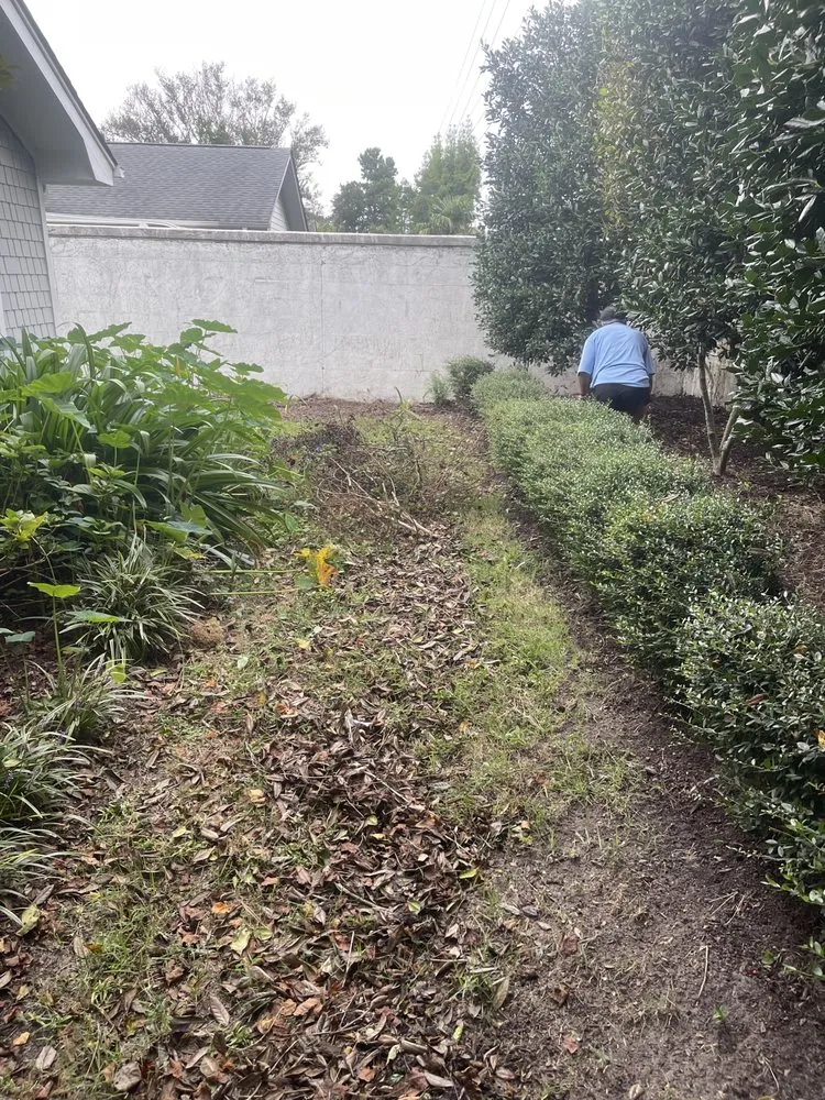 Trusted landscape design in Wilmington, NC - Sea Foam Greens