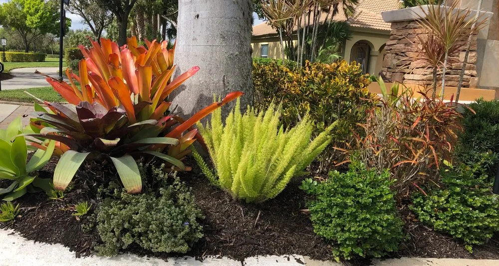 Local yard cleanup service in Bonita Springs, FL - Sea Glass Landscape Services