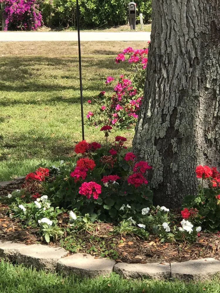 Affordable landscape installation for beautiful yards in Bonita Springs, FL by Sea Glass Landscape Services