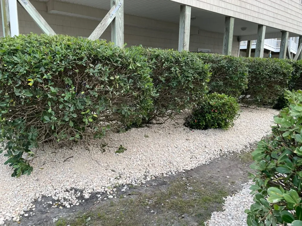 Professional landscaping services with custom design across Holly Ridge, NC - Sea Grass Landscaping