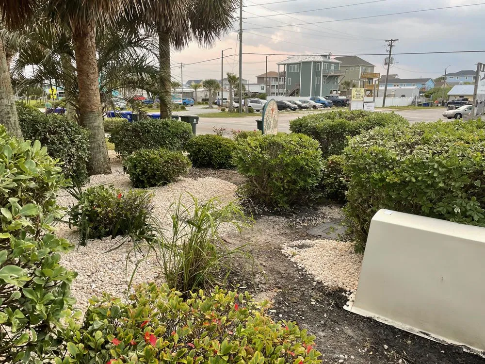 Expert yard maintenance experts serving Holly Ridge, NC - Sea Grass Landscaping