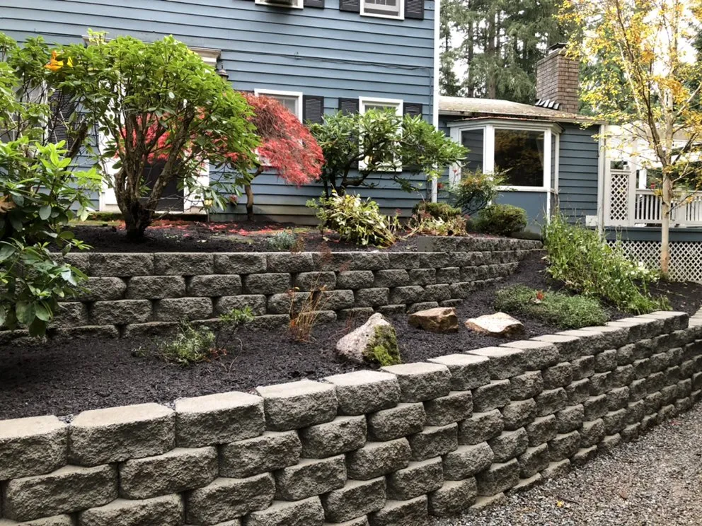 Custom yard maintenance for year-round maintenance in Kenmore, WA by Sea-green lanscaping