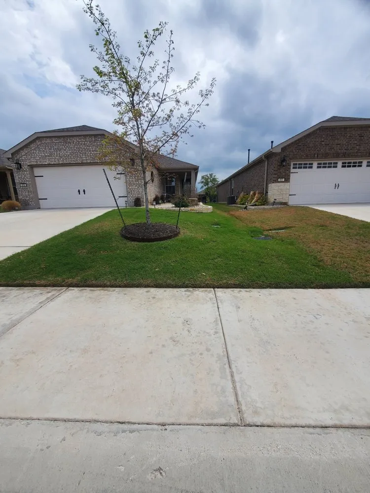 Expert lawn mowing service in Hutto, TX - Sea Green Lawns