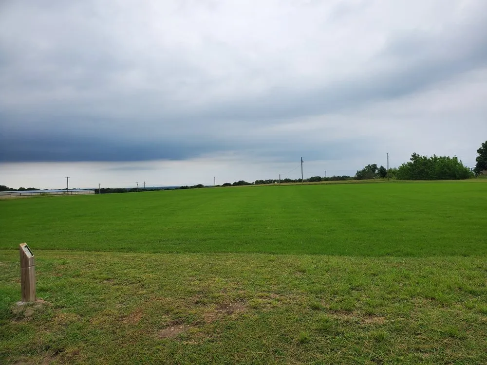 Affordable landscaping services for beautiful yards across Hutto, TX - Sea Green Lawns