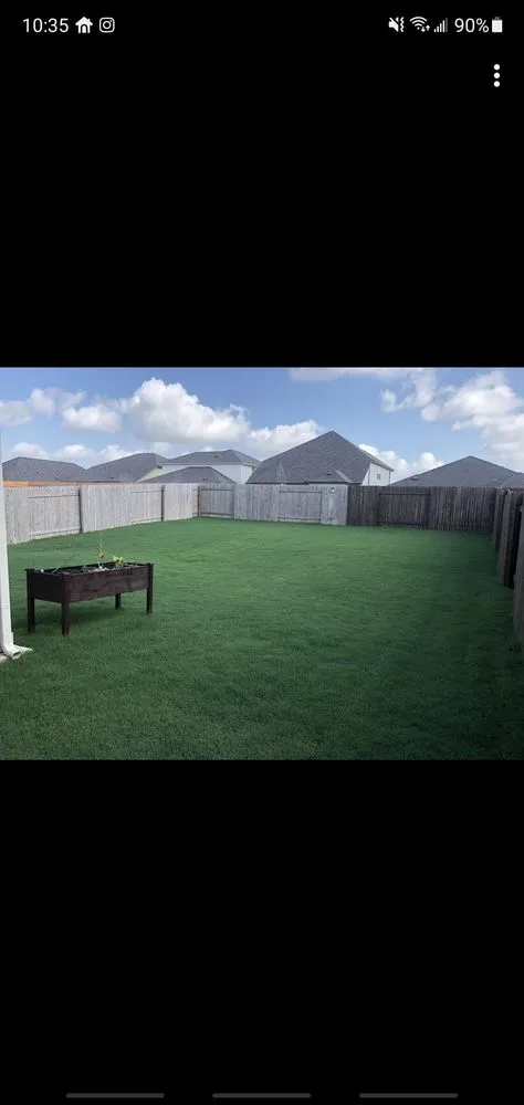 Affordable landscape installation experts serving Hutto, TX - Sea Green Lawns