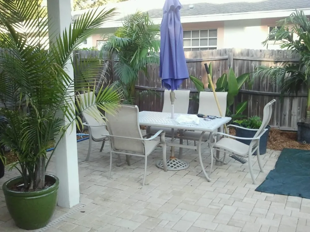 Top-rated lawn care service in Tarpon Springs, FL - Sea of Green Designs