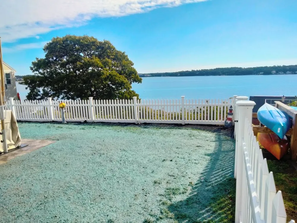 Trusted landscaping services for beautiful yards across Weymouth, MA - Sea of green Hydroseeding