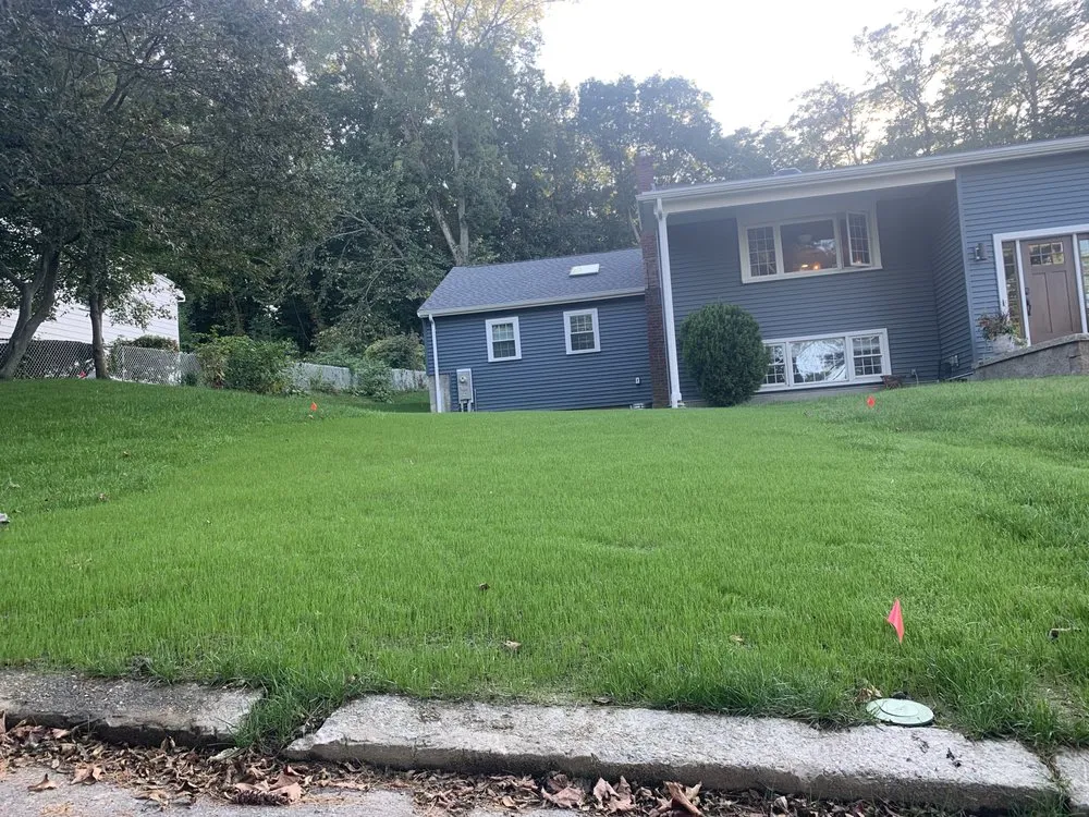 Custom yard cleanup service in Weymouth, MA - Sea of green Hydroseeding