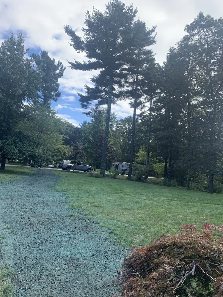 Local residential landscaping for year-round maintenance across Weymouth, MA - Sea of green Hydroseeding