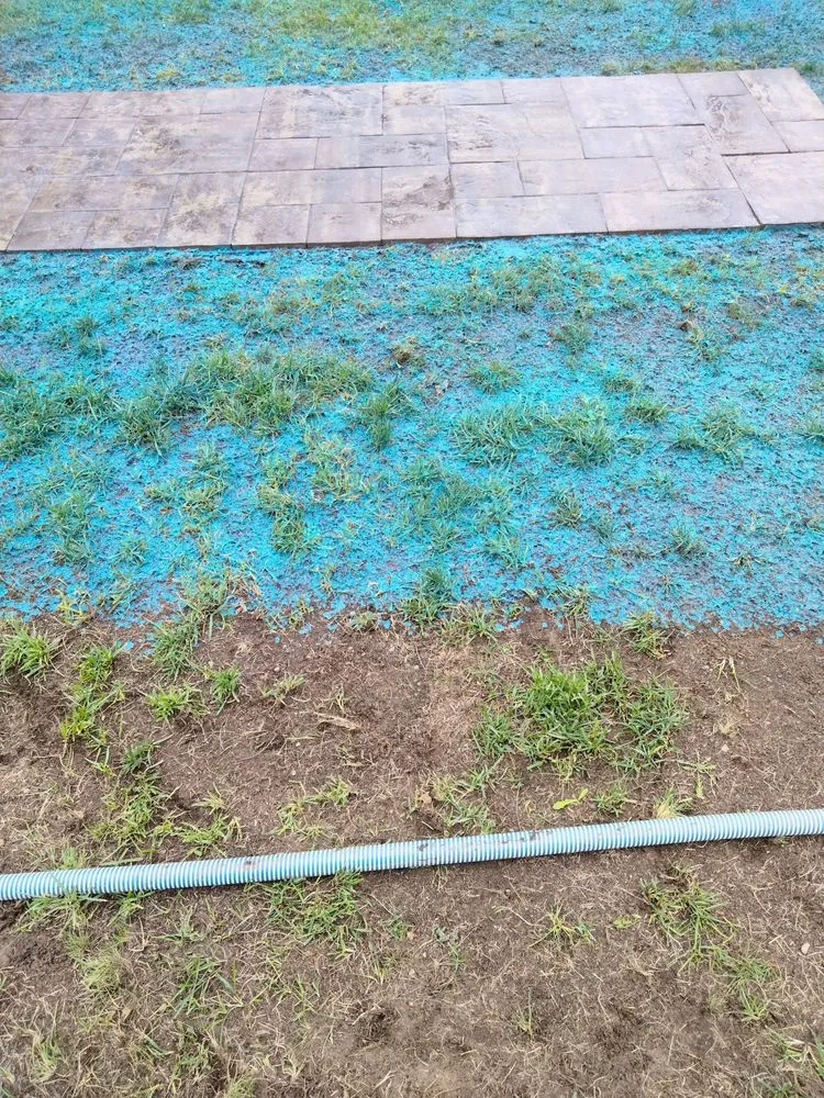 Expert landscape design for homes in Weymouth, MA by Sea of green Hydroseeding