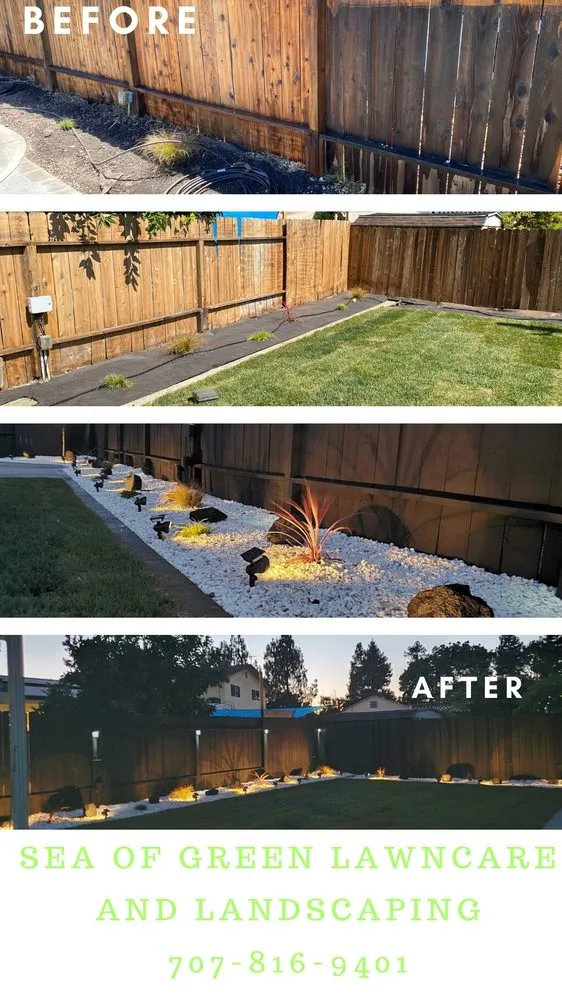 Trusted yard cleanup service for year-round maintenance across Vacaville, CA - Sea of Green Lawn Care and Landscaping