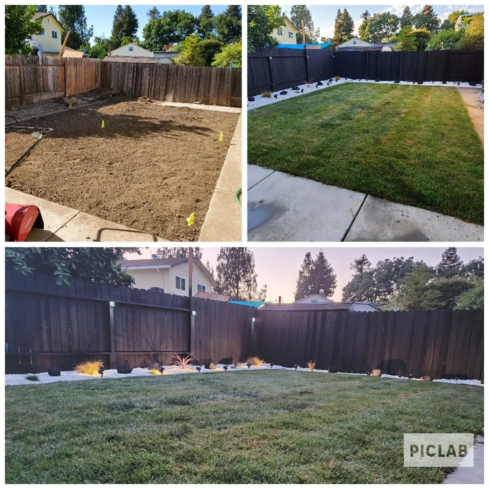 Local garden landscaping for year-round maintenance across Vacaville, CA - Sea of Green Lawn Care and Landscaping