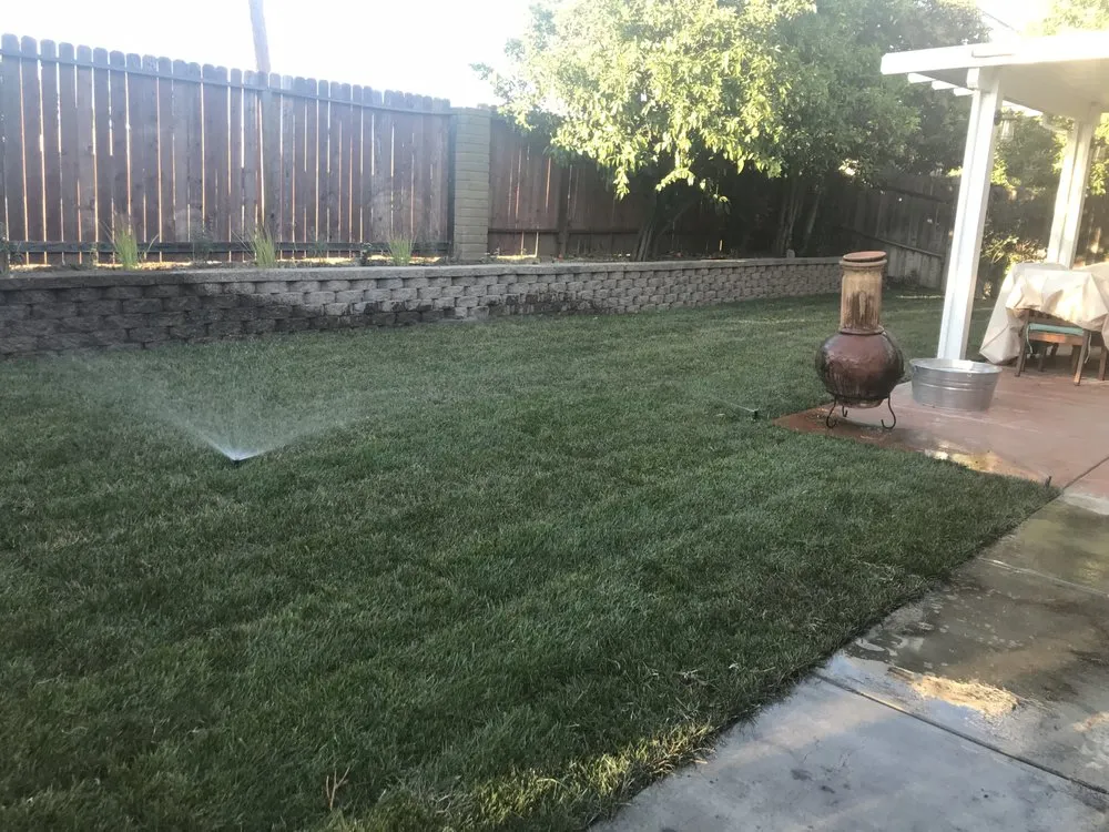Affordable yard cleanup service in Vacaville, CA by Sea of Green Lawn Care and Landscaping