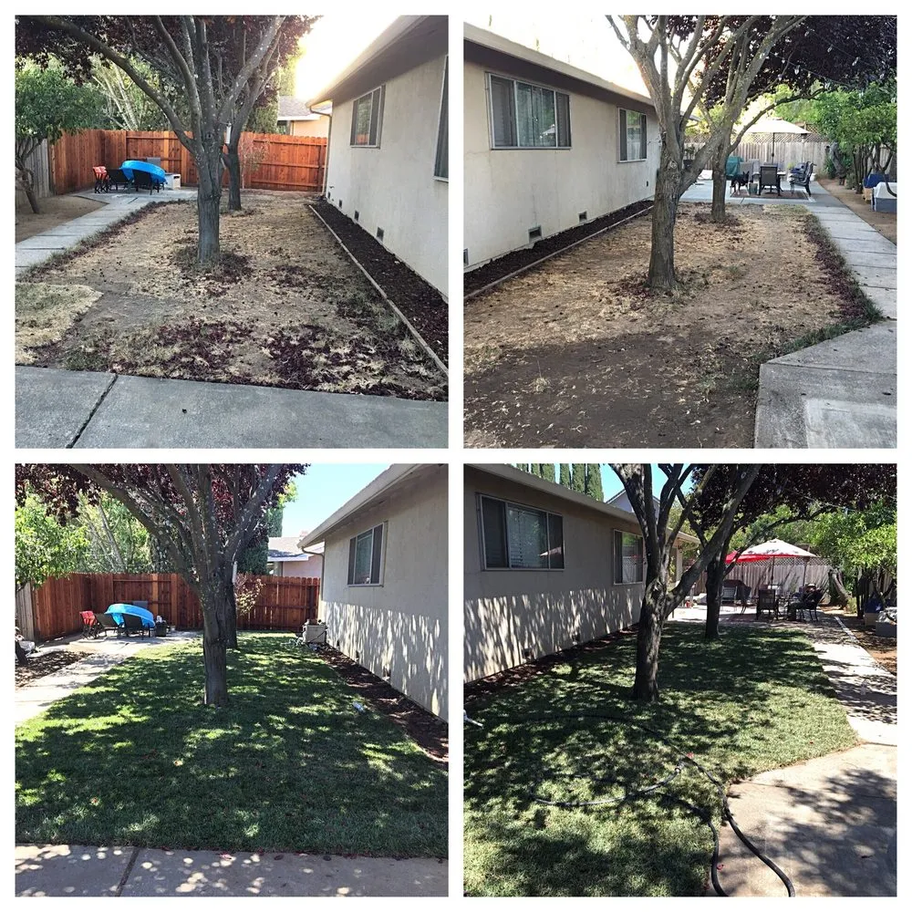 Top-rated residential landscaping for beautiful yards in Vacaville, CA by Sea of Green Lawn Care and Landscaping