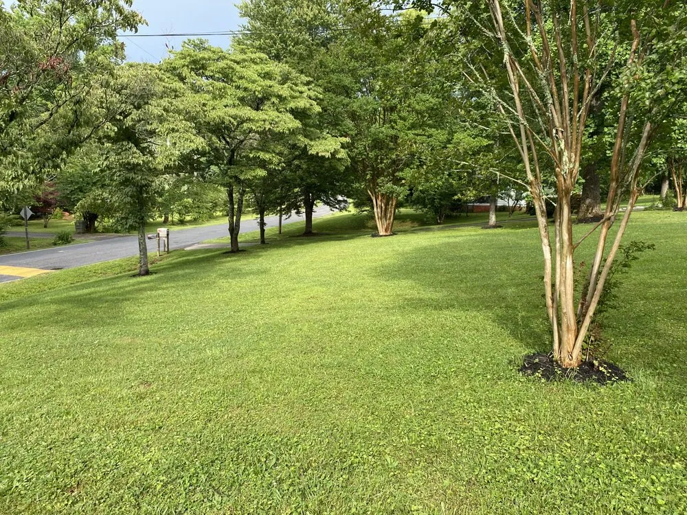 Reliable residential landscaping for beautiful yards in Cleveland, GA by Seabolt’s Lawn Care