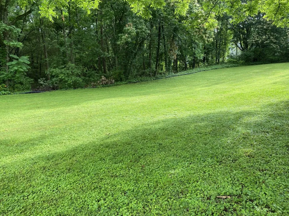 Professional lawn mowing service with custom design in Cleveland, GA by Seabolt’s Lawn Care