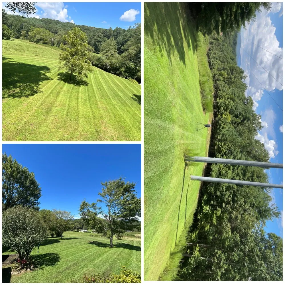 Local landscaping services experts serving Murphy, NC - Seabolts Services