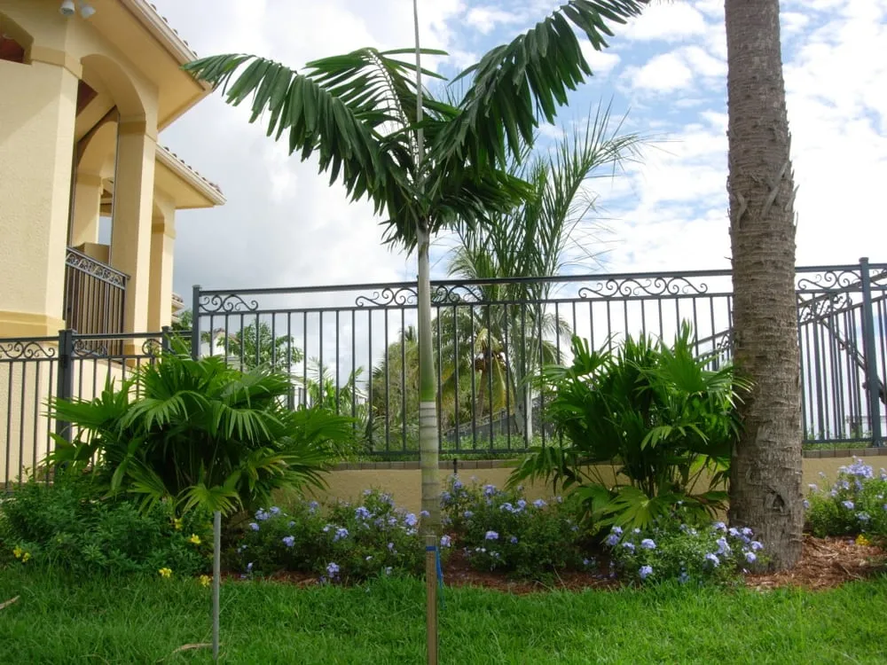 Expert yard maintenance in Fort Myers, FL - Seabreeze Erosion Solutions