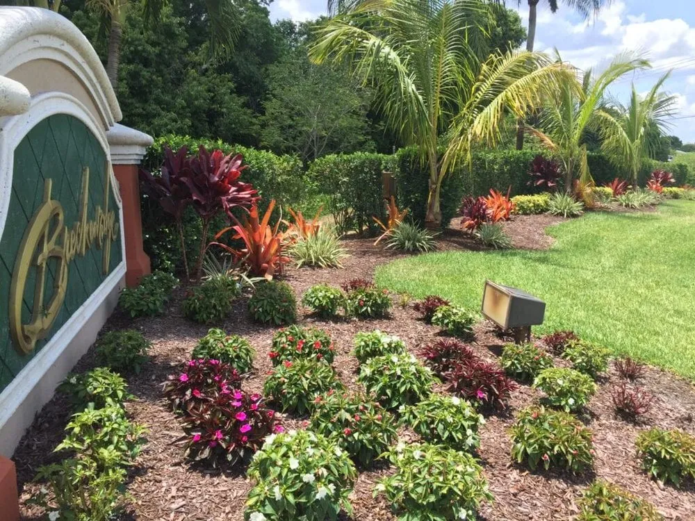 Top-rated yard cleanup service experts serving Fort Myers, FL - Seabreeze Erosion Solutions