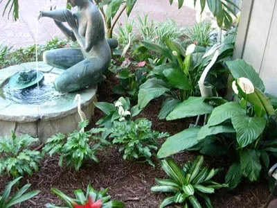 Trusted outdoor landscaping for homes in Fort Myers, FL by Seabreeze Erosion Solutions