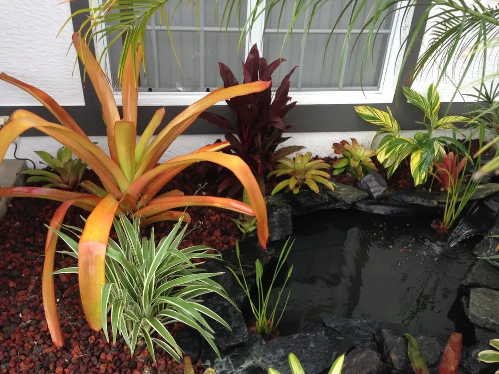 Top-rated lawn care service for homes in Fort Myers, FL by Seabreeze Erosion Solutions