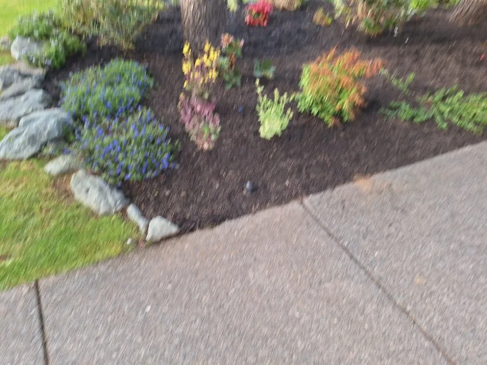 Affordable lawn care service in Bandon, OR by Seabreeze Landscape Care And Home Repair